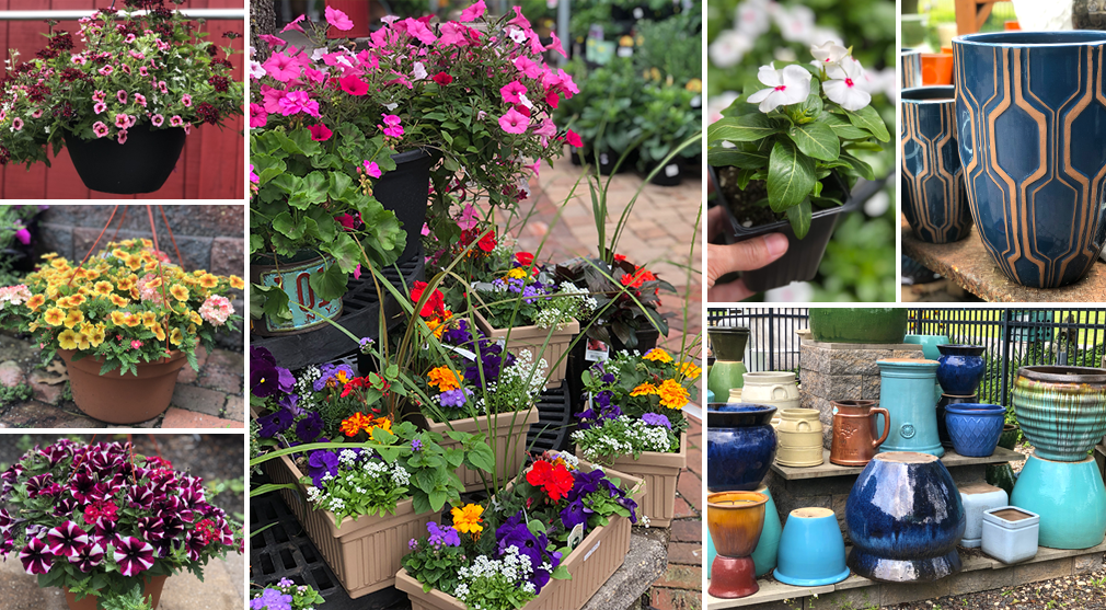 Daniels_GardenCenter